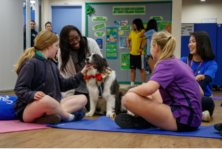 Therapy_Dogs--6 (1)