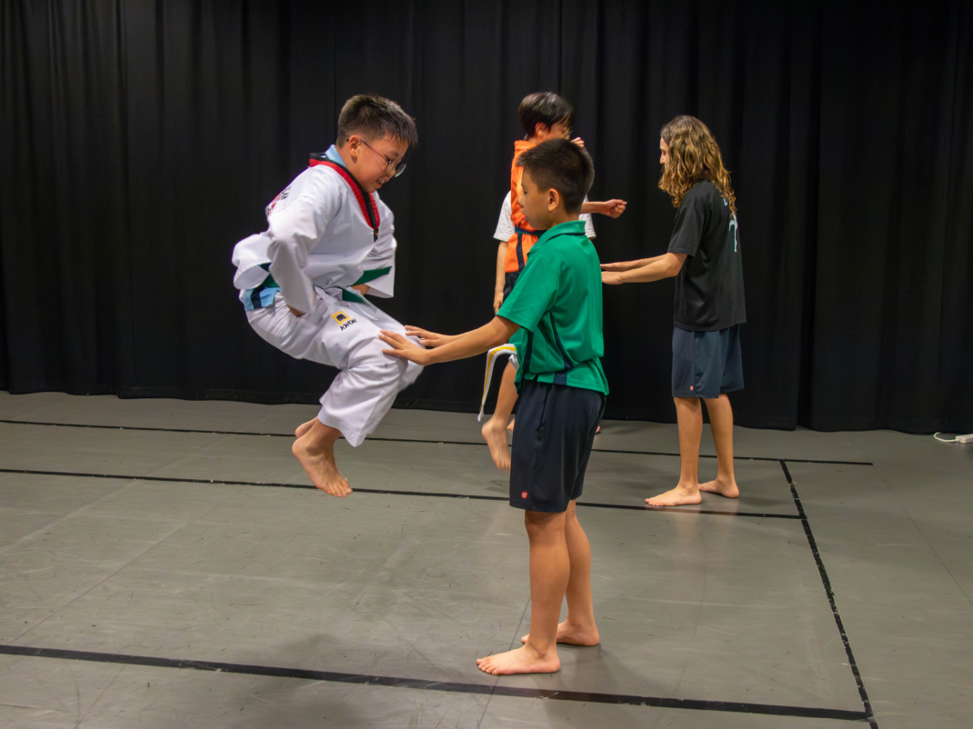Taekwondo-3