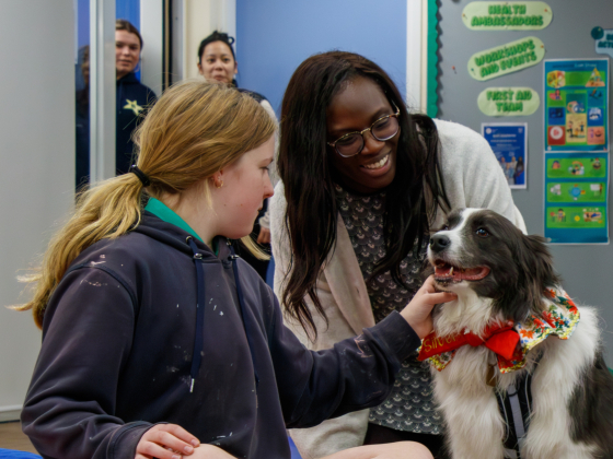 Therapy_Dogs--6